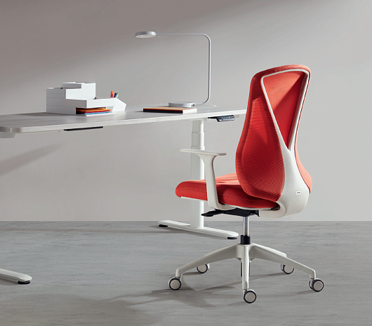 BUTTERFLY CBF62SW ������ ����� ������