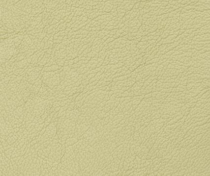 ������ ����� ���� ���� / NADIR STEEL CHROME
